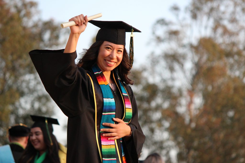 Erfolg Success IB Tutoring Tutor Student Schüler International